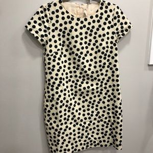 J. Crew Factory Polka Dot Sheath Dress